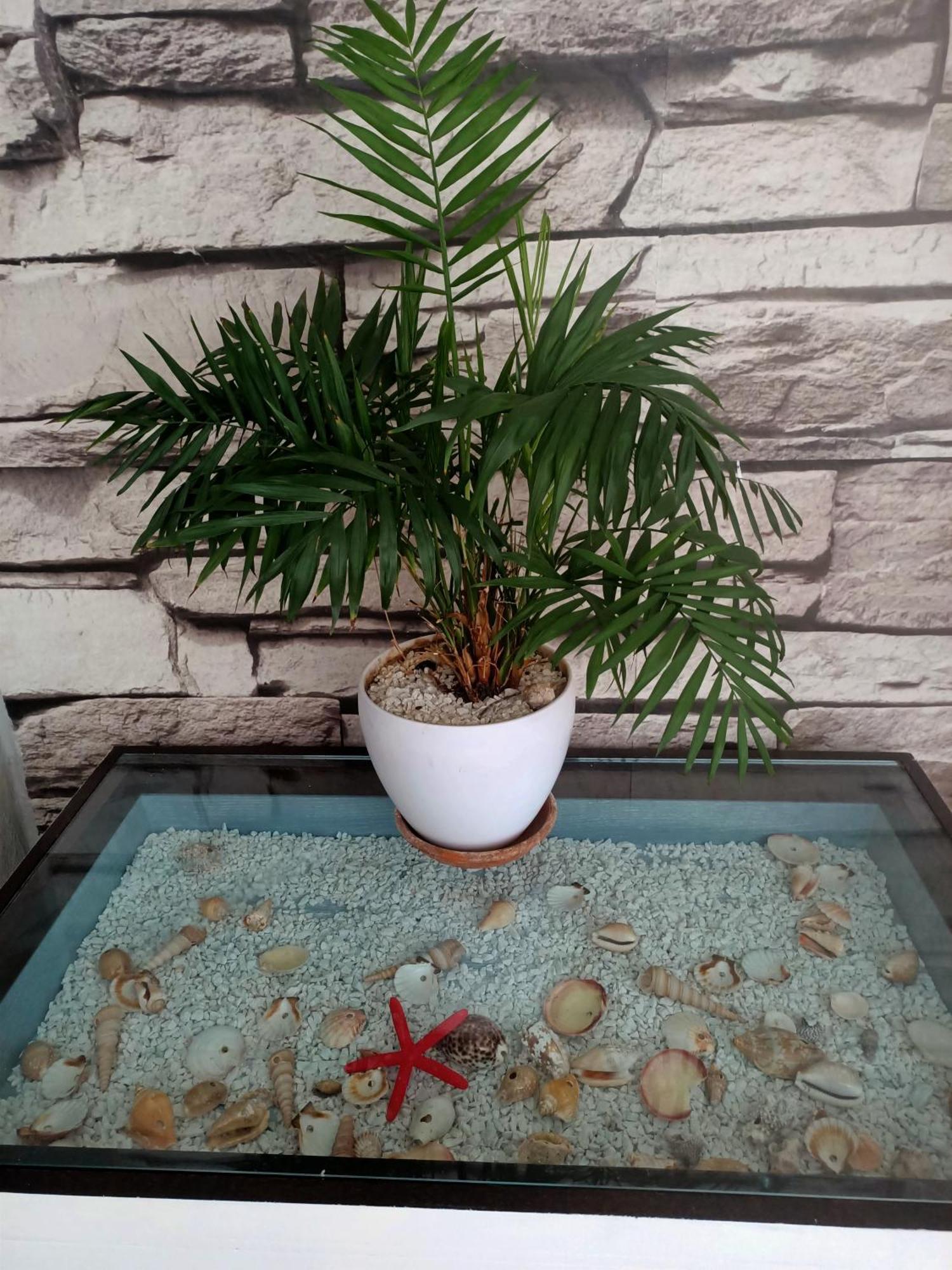 Summer Loft Sant'Andrea  Екстериор снимка